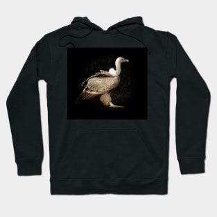 Vulture Hoodie